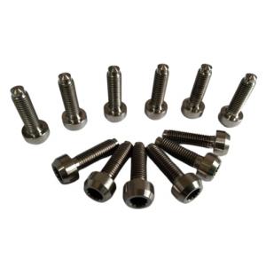 Titanium rim bolts